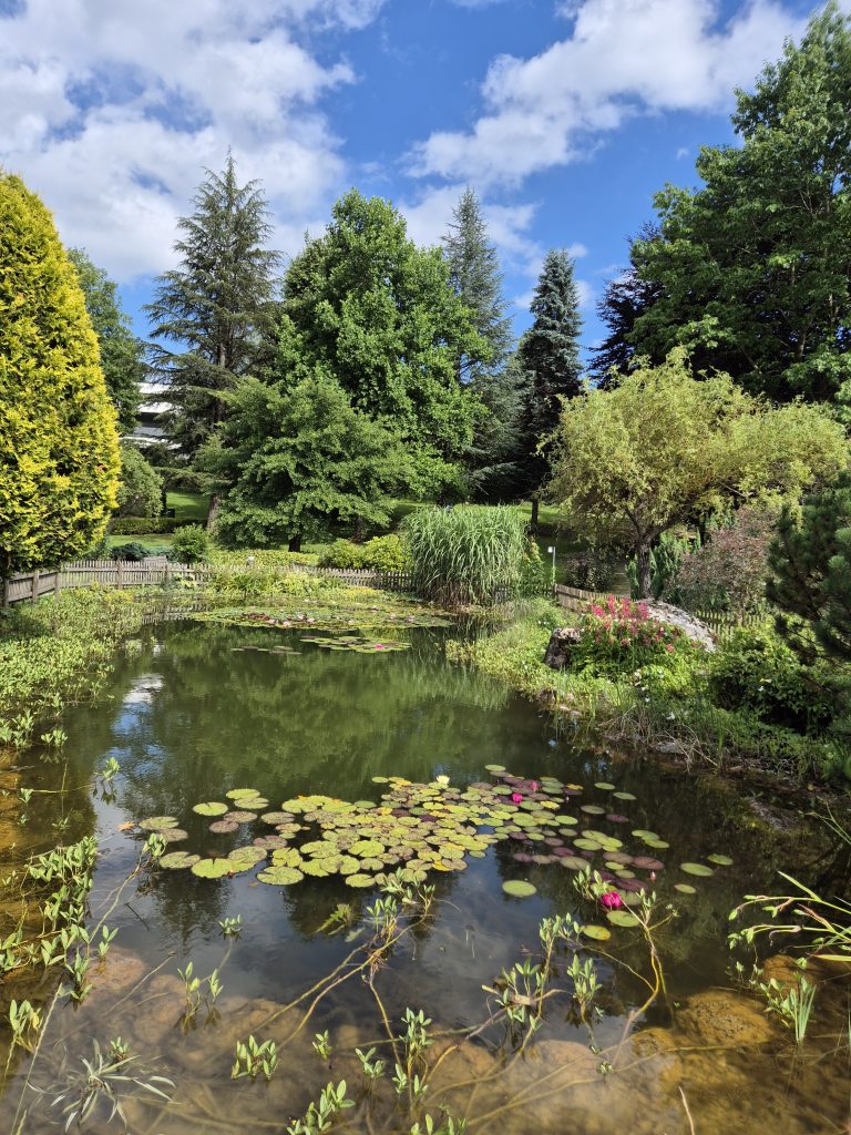 Gartenteich mit Seerosen im Garten des Wasserhauses in Kaindorf