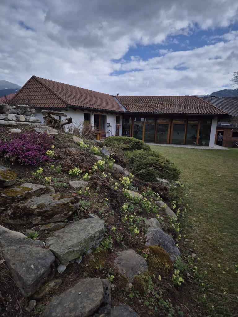 Blühender Steingarten und Wiese vor dem Wasserhaus